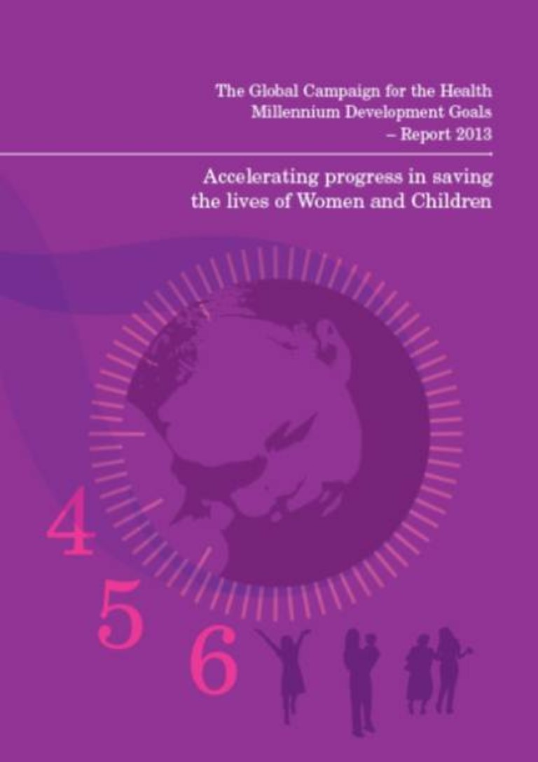 global campaign report 2013
