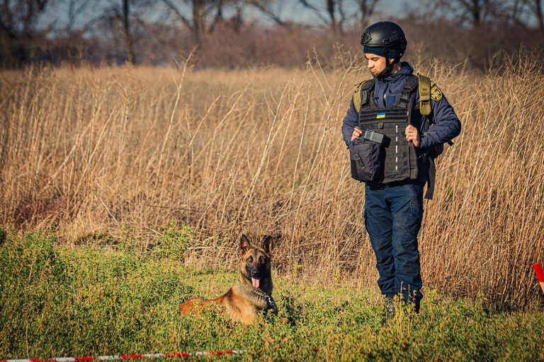 Canine mine detection in Ukraine