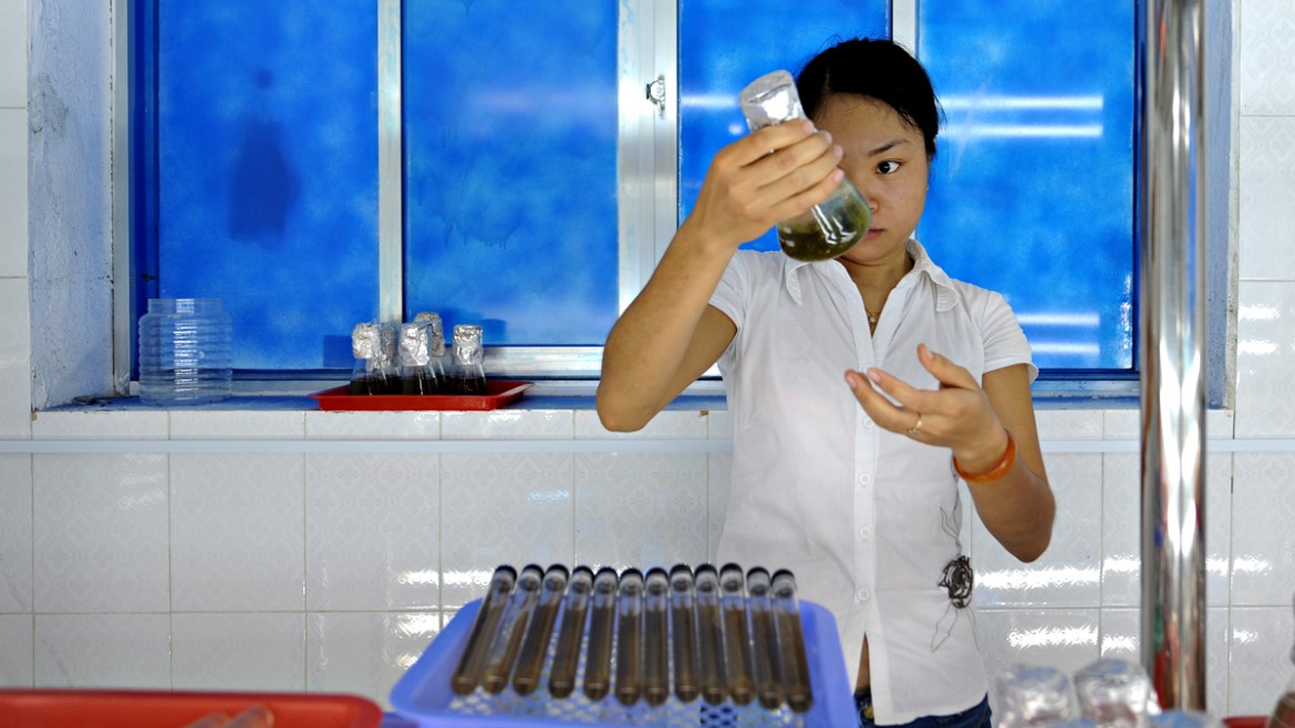 Kvinne holder opp reagensrør i et laboratorium hvor det forskes på fisk. 