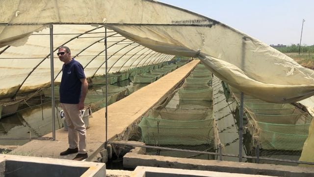 Opplæringssenteret til WorldFish utenfor Kairo har tidligere støttet Egyptiske myndigheter med forskning og utvikling som har bidratt til at landet i dag er en stor fiskeoppdrettsnasjon.
