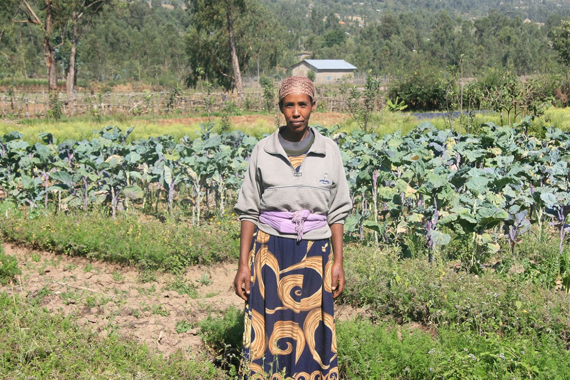 jordbruker i Etiopia