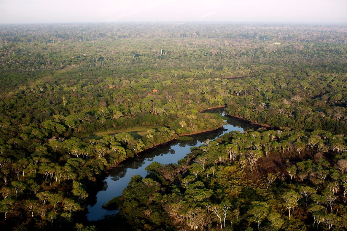 Amazonas i Brasil