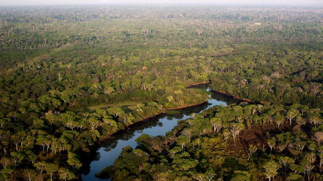 Brasil økte avskogingen betydelig i fjor og topper listen over de landene som hadde størst tap av uerstattelig regnskog i 2019.