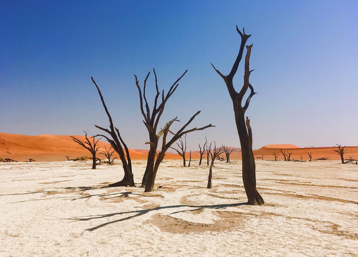 Bilde av ørkenklima