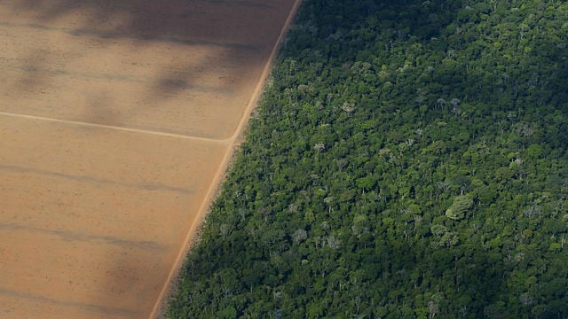 Brazil Deforestation