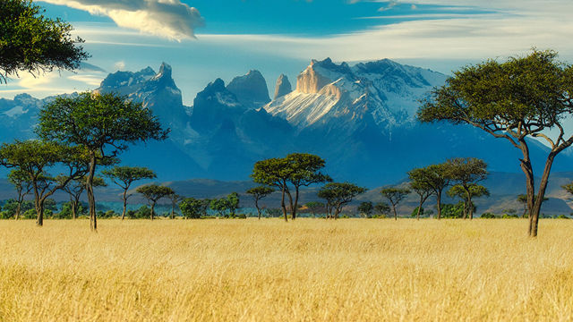 FNs generalforsamling stemte i februar over ein resolusjon som fordømer invasjonen av Ukraina. Flest av landa som «sit på gjerdet» er afrikanske, skriv Bård Vegar Solhjell.