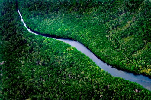 Sungai Wain Forest Reserve in East Kalimantan on the island of Borneo, Indonesia. 