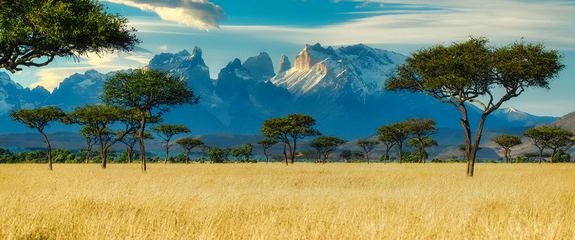 Bilde av afrikansk landskap