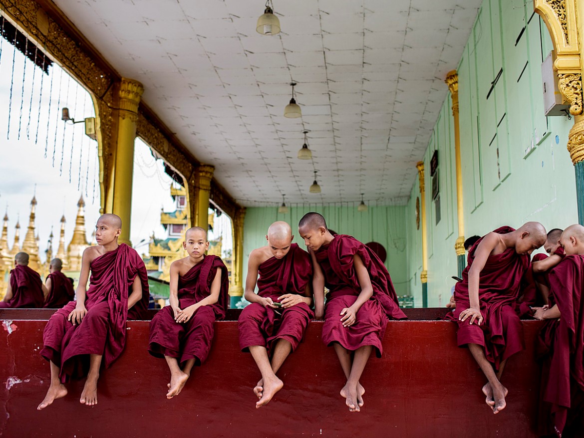 Unge munker i Myannar