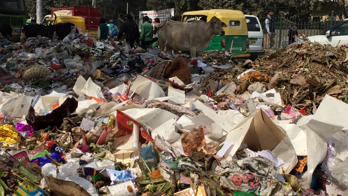 Søppeloppsamlingsplass i Delhi i India