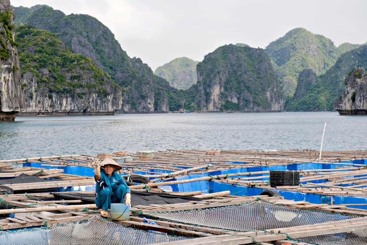 Norge samarbeider med Vietnam for å hindre overfiske