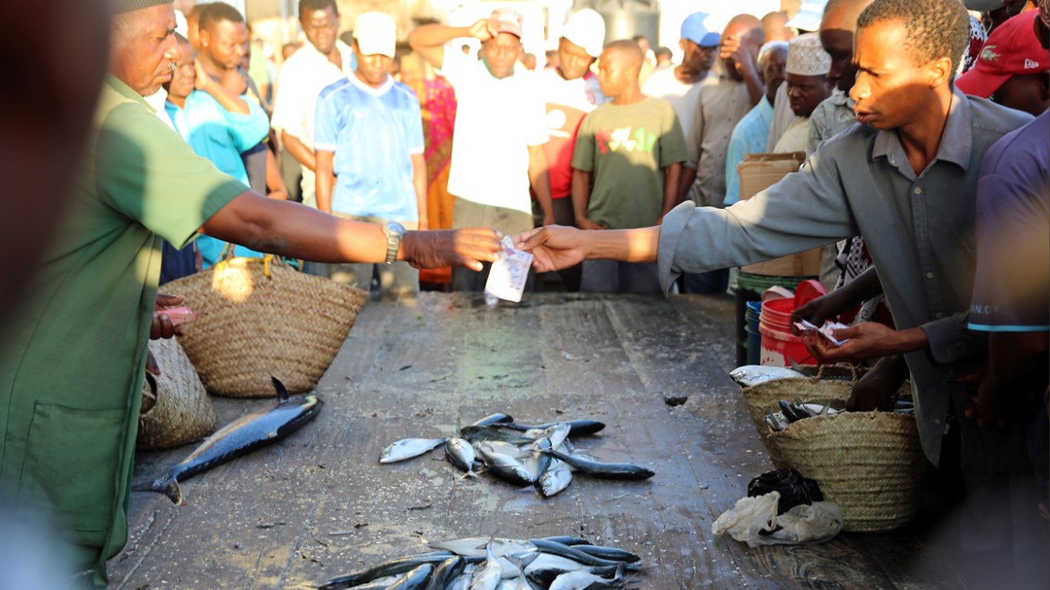 Fiskemarked i Tanzania