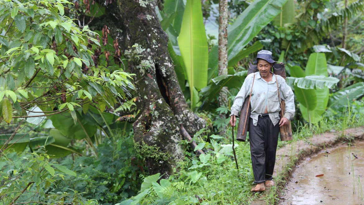 En historisk dom i Indonesia gir urfolk og andre lokalsamfunn formelle rettigheter til skogen deres.