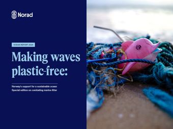 Front page of the Ocean report