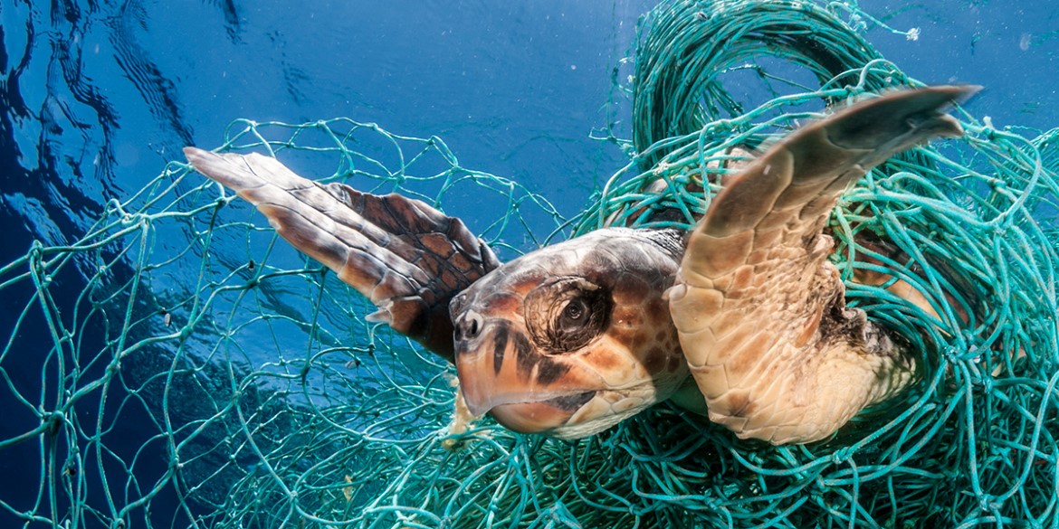 Towards Plastic-Free Waves | Norad.no