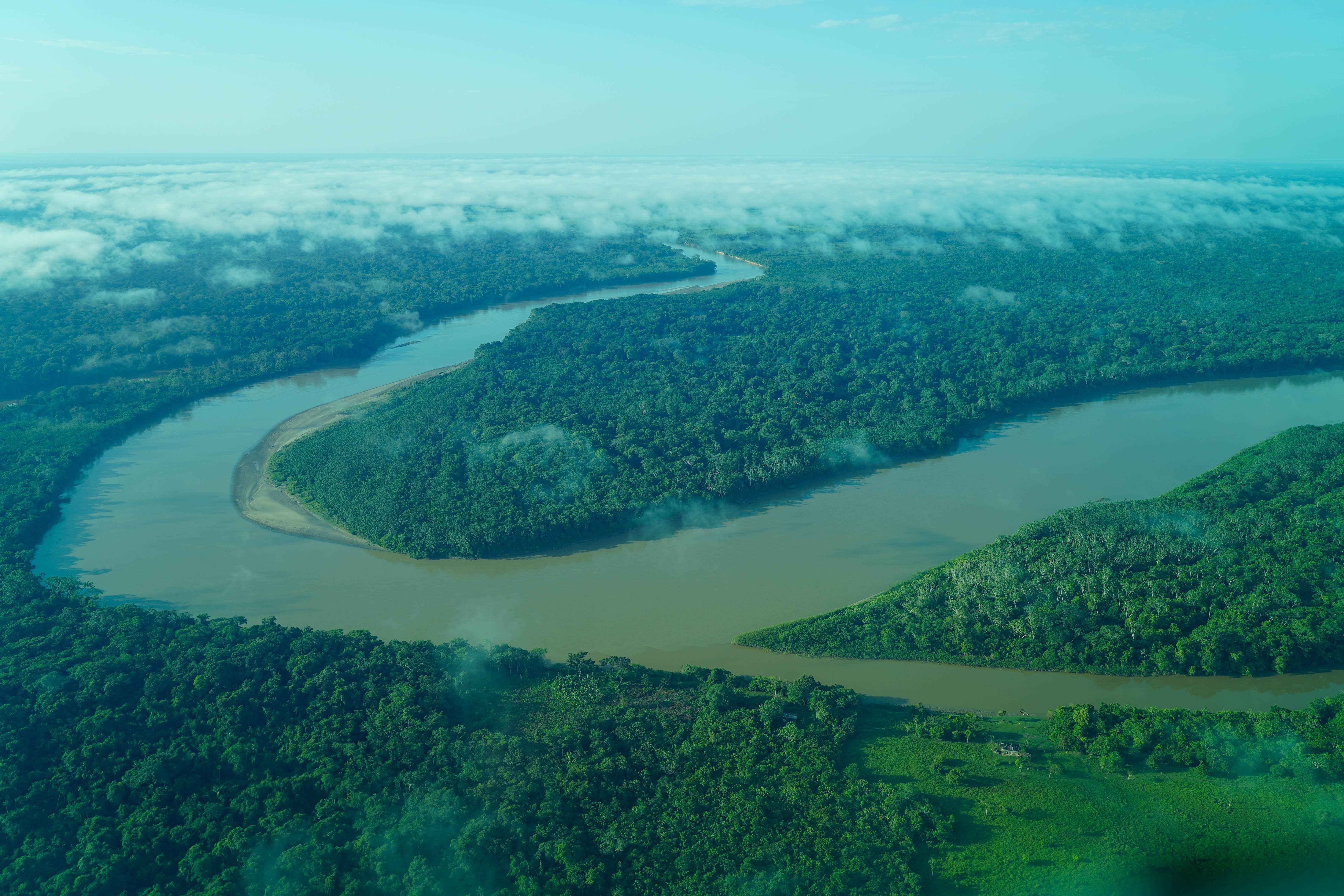 Regnskog og elv sett ovenfra.