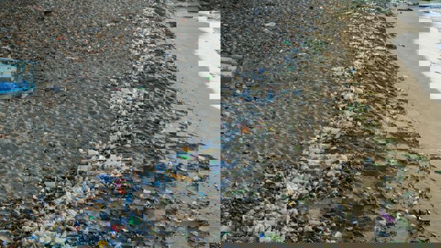 The image depicts a sandy beach heavily littered with trash and debris. A long line of garbage, including plastic bottles, food wrappers, and other waste, stretches along the shoreline, mixed with seaweed and natural materials.