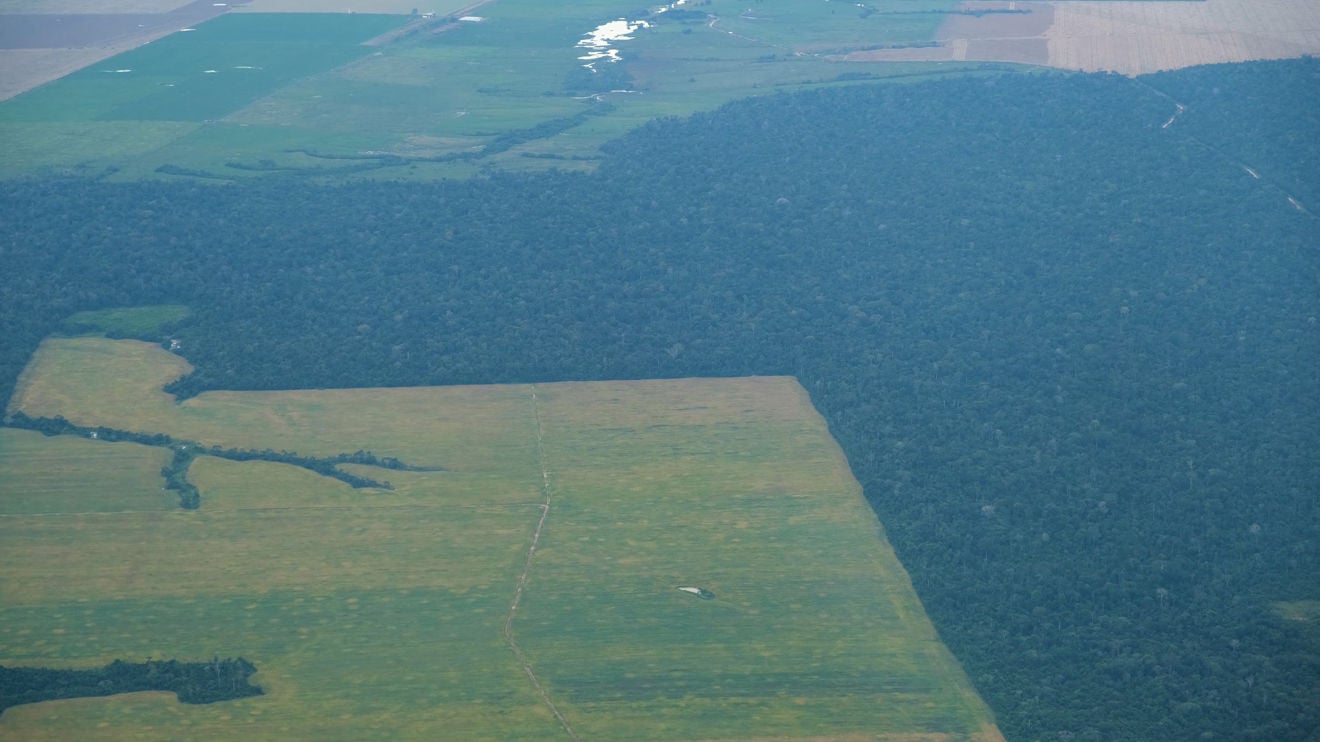 An aerial photo showing a clear boundary between dense forest and open agricultural areas.