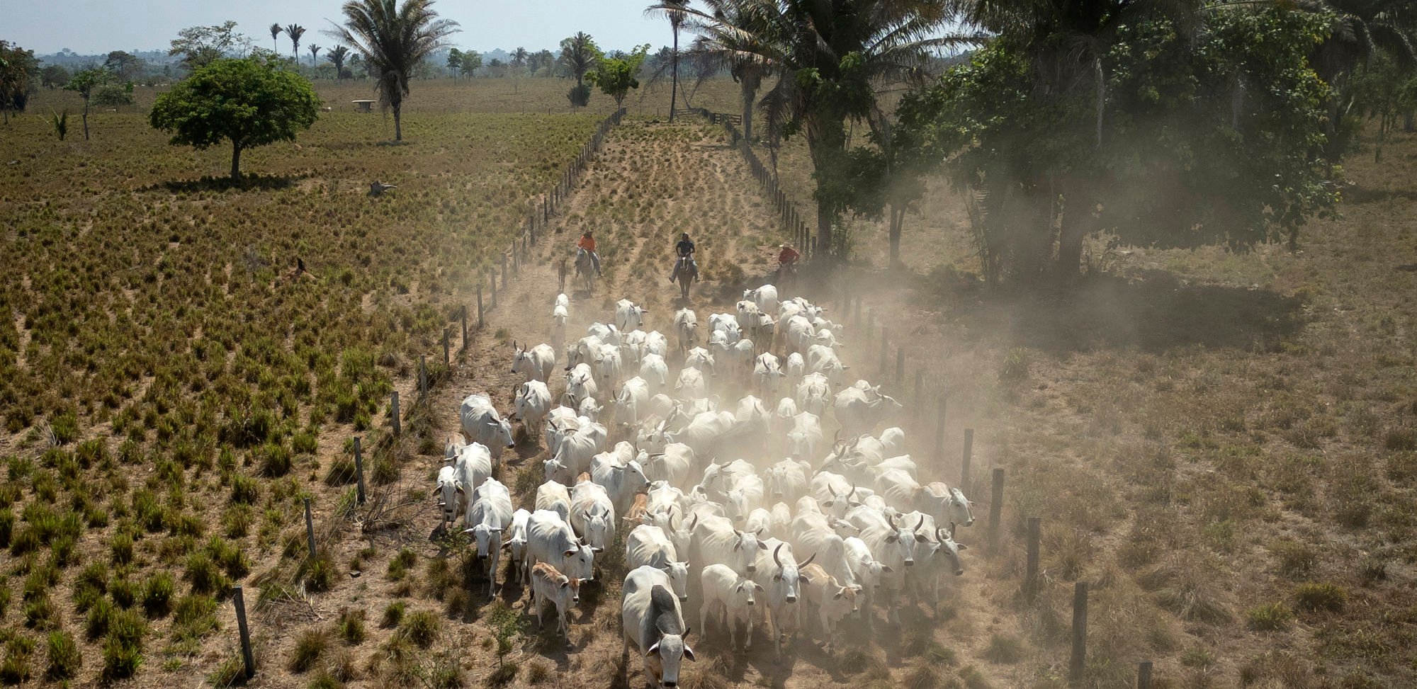 Bildet viser en stor flyktningleir i Sudan. I forgrunnen går tre kvinner i fargerike kjoler på sandgrunn. Rundt dem står mange provisoriske telt laget av tepper og presenninger i ulike farger og mønstre. Flere voksne og barn sitter eller beveger seg mellom teltene. Det er et esel med kjerre, og noen selger varer på bakken. I bakgrunnen sees ørkenlandskap, spredte trær og fjell.