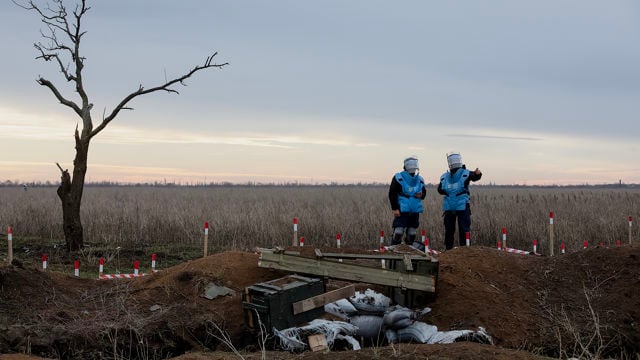 Bildet viser et åpent landskap med en klar og kjølig himmel i bakgrunnen. Til venstre står et nakent, dødt tre, ensomt og dramatisk mot horisonten. Midt i bildet er det en grøft eller et feltområde, delvis dekket med sandsekker og en enkel, provisorisk bro av tre. Rundt området er det markeringspinner med røde topper som indikerer at området kan være farlig, sannsynligvis et minefelt. To personer kledd i blå beskyttelsesvester og hjelmer står på kanten av feltet og ser utover, hvor den ene peker mot noe i horisonten.