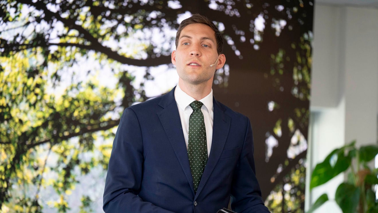 A young man in a dark suit and green tie stands indoors, with a background showing tree branches and leaves.