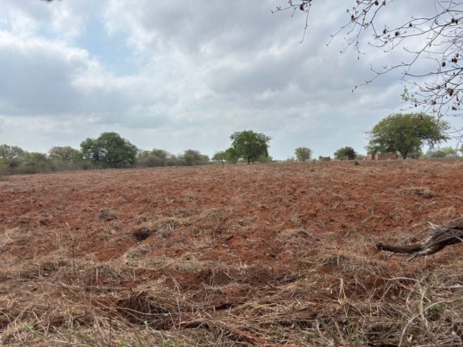 Bilde av et tørt, opparbeidet jorde med spredte trær i bakgrunnen under en overskyet himmel.