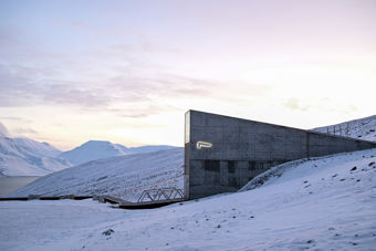 Inngangspartiet til Svalbard globale frøhvelv ligger i et snødekt landskap med fjell i bakgrunnen.