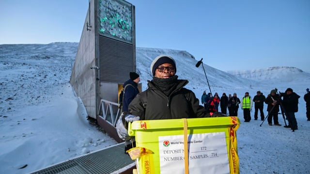 En person med vinterklær bærer en stor plastkasse foran inngangen til Svalbard globale frøhvelv, mens flere mennesker står og ser på i bakgrunnen i snødekt landskap.