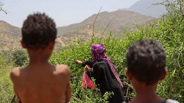 To barn står i forgrunnen og ser mot en kvinne som arbeider i tett vegetasjon, med fjellandskap i bakgrunnen. Kvinnen holder en pose og strekker hånden inn i buskene.