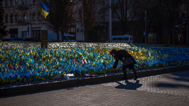 denne En person bøyer seg ned blant mange små ukrainske flagg som er satt opp på en plass.