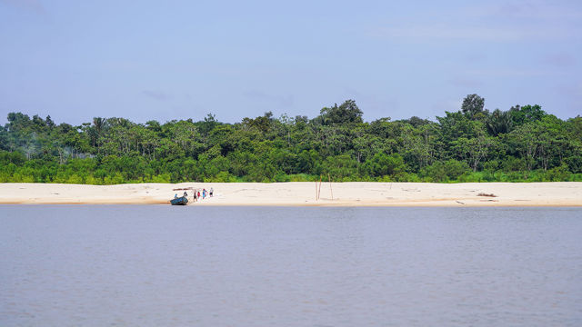Amazonas