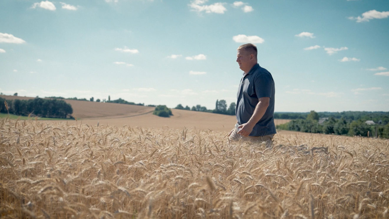 A man is standing in the middle of a wheat field. Blue sky above him.