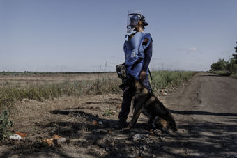 Woman standig with a dog on a road.