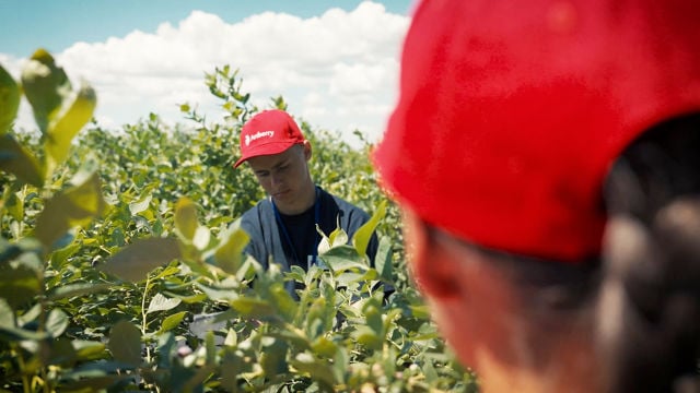 To mennesker med rød caps står ute blant trær.