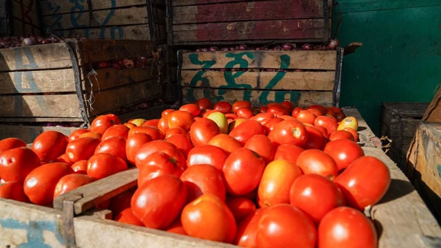 Tomatoes at market