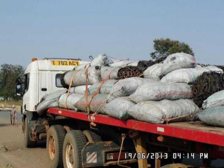Clear-cutting for illegal charcoal production and transport in Tanzania