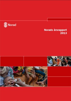 Norads rsrapport 2013