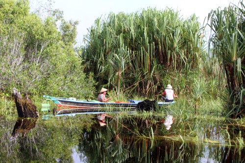 Wetlands International - Wetlands Sustainable peatland livelihoods, fishing at Mentangai river (Marcel Silvius)