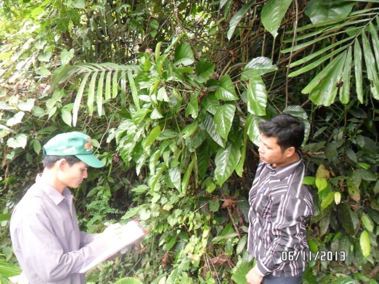 Collecting data on forest biodiversity
