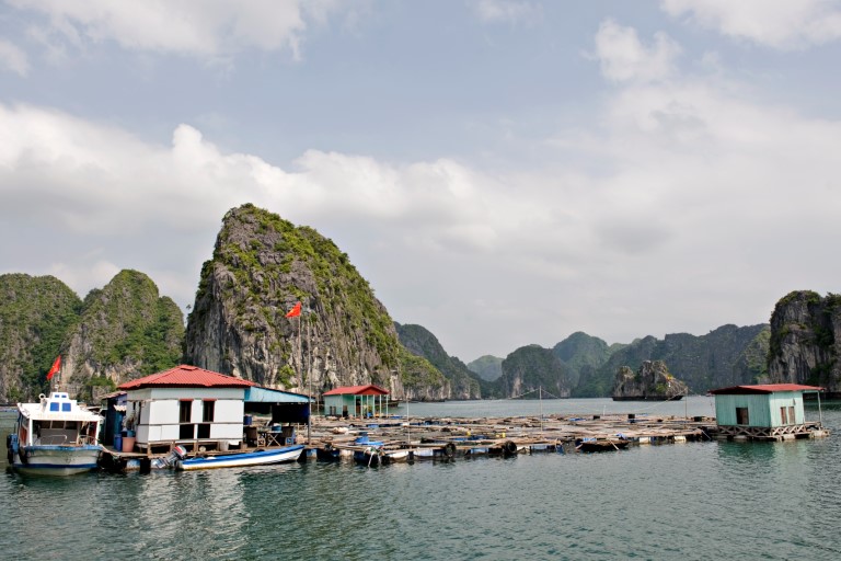 Vietnam_fisk_Ha Long Bay, Ken Opprann