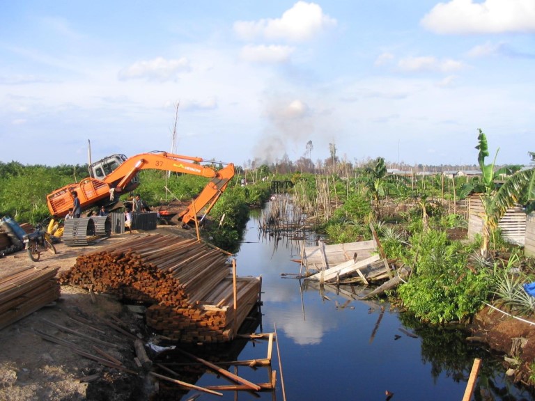 Peatlands in peril - logging, drainage and fire by palm oil and pulpwood companies cause huge GHG emissions and subsidence which can lead to flooding of flooding of extensive rural areas